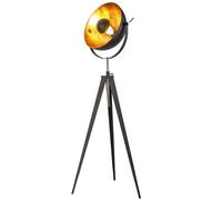 Lampe sur pied LED, lampadaire de salon, hauteur réglable, noir, H 152 cm