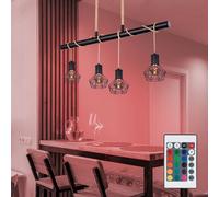 Lampe Suspendue En Corde De Chanvre RGB Avec Télécommande Rétro En Cage Dimmable