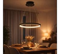 Suspension anneau rond lampes LED Salon suspendu Moderne, en métal noir mat opale, 1x LED 19W 800Lm blanc chaud, DxH 38,5x120 cm