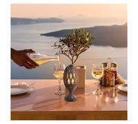 Lampe-torche LED de jardin effet flamme BOMBALIGHT