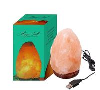 Lampe USB Sel de l'Himalaya - Rose - Lampe de Bureau avec Socle en Bois et LED Multicolore