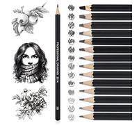 LAMXD 14 Crayons Dessin, Professionnel Crayon Papier 12B, 10B, 8B, 7B, 6B, 5B, 4B, 3B, 2B, B, HB, 2H, 4H, 6H