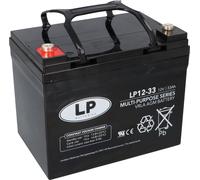 Landport Batterie au plomb 12V 33Ah AGM Batterie NSA LP12-33 T6