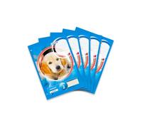 Landre 100050444 Lot de 5 blocs de 50 feuilles lignées Linéature 2 Format A4 Papier 80 g/m²