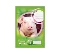Landre 100050445 Lot de 5 blocs de 50 feuilles lignées Linéature 3 Format A4 Papier 80 g/m²