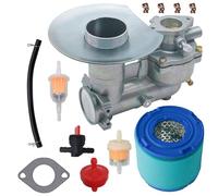 Lanigram Carburateur 392587 391065 pour Briggs & Stratton 391074 391992 220400 254400 252417 243431 170402 190432 Carburateur