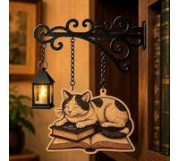 Lanterne décorative pour bibliothèque, éclairage LED chaud en forme de chat, lampe de lecture vintage, décoration d'étagère pour les amateurs de livres, lumière d'accent littéraire pour la maison ou