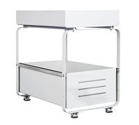 LANTUS Organiseur de Cuisine, 2 Niveaux Rangement sous évier, Coulissant Organiseur pour Cuisine Armoire Salle de Bain, Acier au carbone-40 * 25,5 * 39,5 cm-Blanc (1PC)