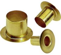 LAPP 52010161 PG36 laiton 10 pc(s)