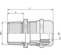 LAPP SKINTOP® MS-NPT 3/4'' 53112034 3/4\ laiton laiton 25 pc(s)