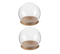 LAPYAPPE 2 Pièces Cloche Transparente Vitrine en Verre Dôme en Verre Transparent Ronde Bambou et Silicone Anti-poussière Affichage 360° DIY pour Fleurs Durables et Petites Plantes