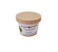 Larves de coccinelle à 2 points contre les pucerons des arbres frutiers & ornementaux, pucerons des rosiers et autres arbustes. (50 Larves)
