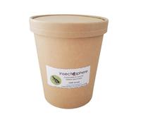 Larves de coccinelle à 2 points contre les pucerons des arbres frutiers & ornementaux, pucerons des rosiers et autres arbustes. (1000 Larves)