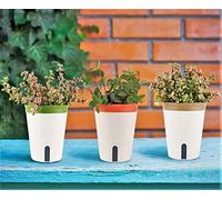 LATERN 3 Pièces Arrosage Automatique Pot de Fleurs, 12.5CM Rond Pot de Fleurs en Plastique Pots de Bonsaï de Fleurs de Jardin - Avec Fenêtre De Niveau D'eau Et Plateau Caché De Trou De Drainage