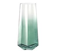 Laughhe Vase en Verre, 25 cm de Haut Vase Fleur en Verre Bombé, Style Minimaliste Vase en Verre Transparent Vases en Cristal pour Herbe de la Pampa Cadeau Décoratif pour Bureau Maison Cuisine (Vert)