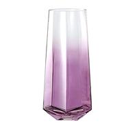 Laughhe Vase en Verre, 25 cm de Haut Vase Fleur en Verre Bombé, Style Minimaliste Vase en Verre Transparent Vases en Cristal pour Herbe de la Pampa Cadeau Décoratif pour Bureau Maison Cuisine (Violet)