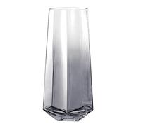 Laughhe Vase en Verre, 25 cm de Haut Vase Fleur en Verre Bombé, Style Minimaliste Vase en Verre Transparent Vases en Cristal pour Herbe de la Pampa Cadeau Décoratif pour Bureau Maison Cuisine (Gris)