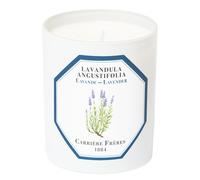 Lavande Bougie Parfumée 185 g
