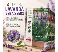 Lavande - Graines - Paquet de 5 - Fleurs violettes parfumées - Pour pots - Balcon - Culture en pleine terre