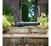 LawnMaster MX 24V : souffleur de feuilles à batterie avec soufflerie axiale | Souffleur de feuilles sans fil puissant pour le jardin, équipé d'une batterie lithium-ion MX 24V et d'un chargeur