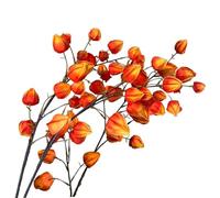 Lawnrden Fleurs de Lanterne Chinoise 3 pièces artificielles 38, 2 Pouces de Long Plante Lanterne Chinoise Orange Flexible Fausses Branches d'automne d'hiver pour la décoration Magasin à Domicile |