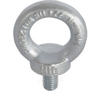 LD Systems 5431 M10 - Boulon à œil galvanisé M10 x 17 mm DIN 580 - Anneaux de levage, écrous de levage et maillons de suspension