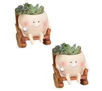 Ldbuejiaja Pot de fleurs viande en résine - Pot de fleurs en forme de chaise à bascule - Pour fenêtre - Cactus - Cadeau pour chambre à coucher - Décoration de bureau - Résine charnue