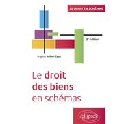 Le droit des biens en schémas A jour au 15 avril 2024 - Brigitte Belloir-Caux - Ellipses - broché - Scolaire / Universitaire