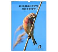 Le monde intime des oiseaux (Calendrier mural 2027 DIN A3 horizontal), CALVENDO calendrier mensuel: Un calendrier élégant qui vous ouvre les portes du ... grâce et leurs instants les plus secrets.