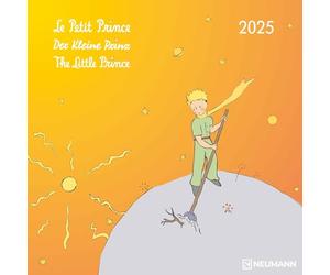Le Petit Prince 2025 - Calendrier mural - Calendrier brochures - 30 x 30 cm - 30 x 60 cm ouvert - Calendrier pour enfants - Illustrations : Le Petit Prince