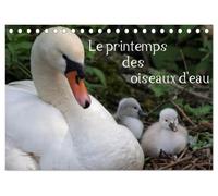 Le printemps des oiseaux d'eau (Calendrier de bureau 2027 DIN A5 vertical), CALVENDO calendrier mensuel: Le printemps marque la naissance des oiseaux d'eau