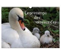 Le printemps des oiseaux d'eau (Calendrier mural 2027 DIN A3 vertical), CALVENDO calendrier mensuel: Le printemps marque la naissance des oiseaux d'eau
