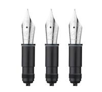 Le stylet fontaine PCS asvine 3 remplace le NIB des séries p36, P50, P80 et v200, argent # 6 EF/F/M NIB set