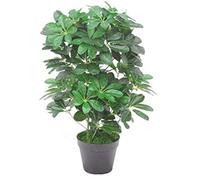 Leaf Arbre Parapluie Artificiel Schefflera Arboricola avec Pot en Plastique Noir 55 cm, Buisson Foncé de 55 cm., 55cm Dark Bush