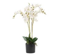 Leaf Design UK Orchidée Artificielle réaliste en Pot 60 cm