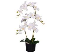 Leaf Design UK Orchidée Artificielle réaliste en Pot Blanc 65 cm