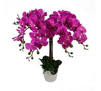 Leaf Design UK Orchidée Artificielle réaliste en Pot Rose foncé 85 cm