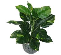 Leaf Design UK Plante Artificielle en Plastique Noir 60 cm
