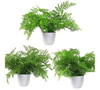 Leaf Design UK Plantes artificielles réalistes en Pot