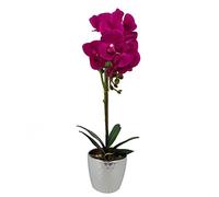 Leaf Design UK Présentoir de Fleurs d'orchidées artificielles réalistes en Pot