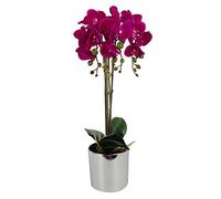 Leaf Design UK Présentoir de Fleurs d'orchidées artificielles réalistes en Pot