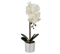Leaf Design UK Présentoir de Fleurs d'orchidées artificielles réalistes en Pot