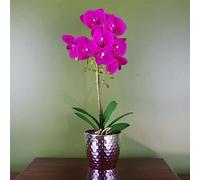 Leaf Orchidée phalaenopsis Artificielle Argenté 50 cm