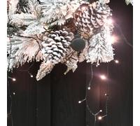 LEALIGHT blachere illumination Guilande de Noël musicale - 6m - 4 chansons enregistrées - 96 LED Blanc chaud super brillantes