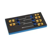 Lebenshilfe Gießen Module à outils l.185xP.385xH.30mm 1/3 module à outils 6-pcs. emmanch. fente+PH+ Quantité:1