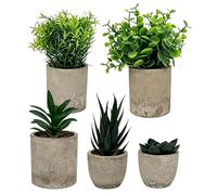 LEBOKJ Ensemble de 5 Plantes artificielles - Contient Agave, Aloe Vera et Queue de Tigre Peut être utilisé pour la décoration végétale dans la Chambre à Coucher, Le Bureau, Le Salon - sans Entretien