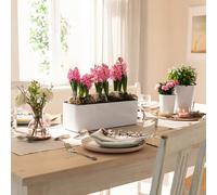 LECHUZA CUBE Glossy Triple ALL-IN-ONE Blanc brillant
