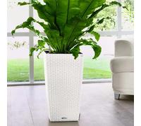 LECHUZA CUBICO Cottage 30 - Blanc