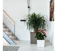 Lechuza – Pot de fleurs d'intérieur – Premium Cube 30 – Réserve d'eau intégrée – Blanc 30×30×30 cm