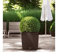 Lechuza Cube Cottage 50 Kit Complet, Plastique, Moka, 50 x 50 x 50 cm
